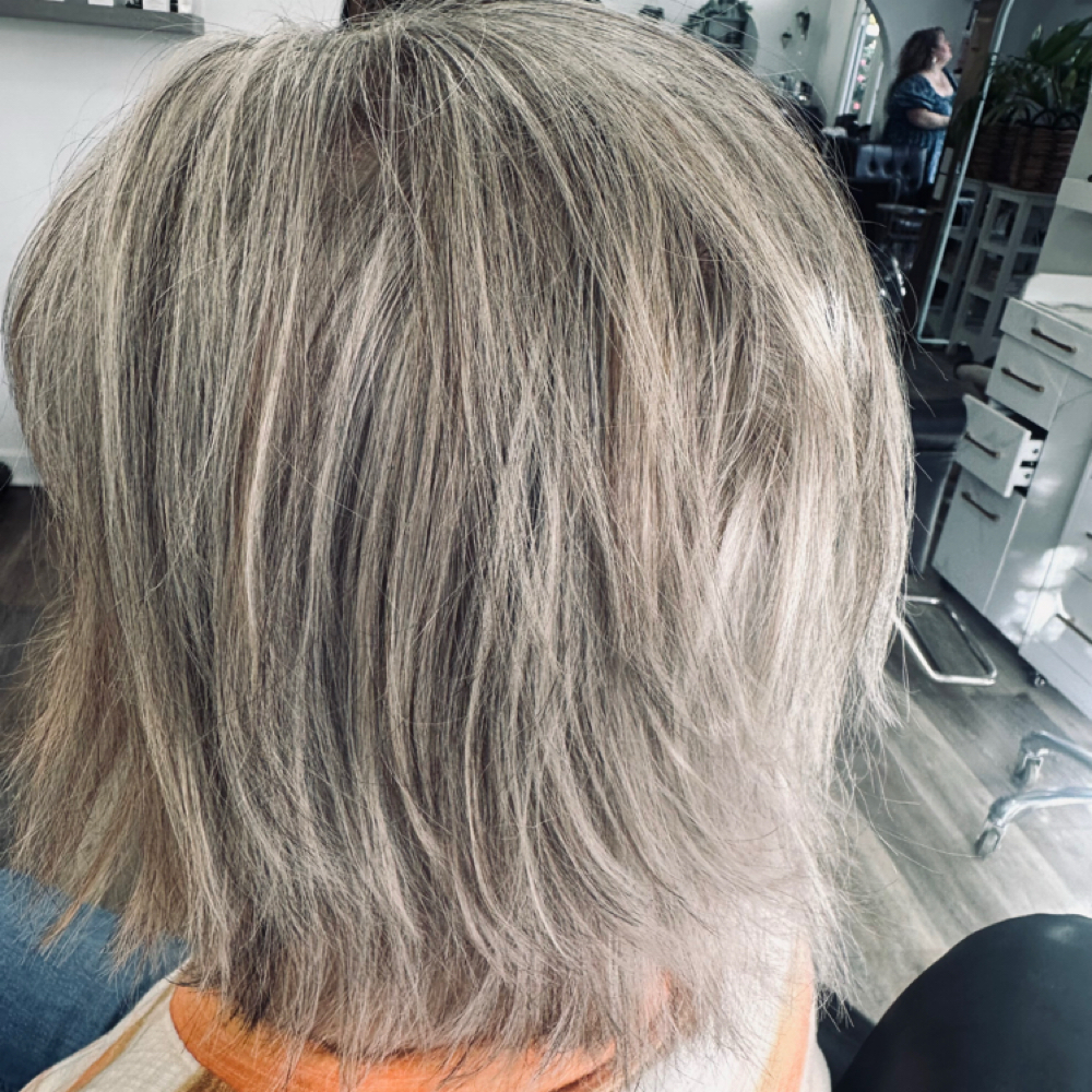 Transition to Grey at Studio M Beauty Co. in Salem, OR