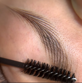 Nanoblading Touch-Up