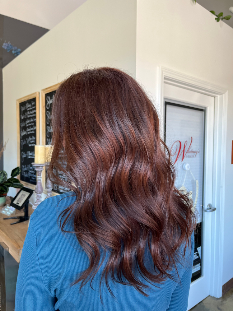 All Over Color + Haircut