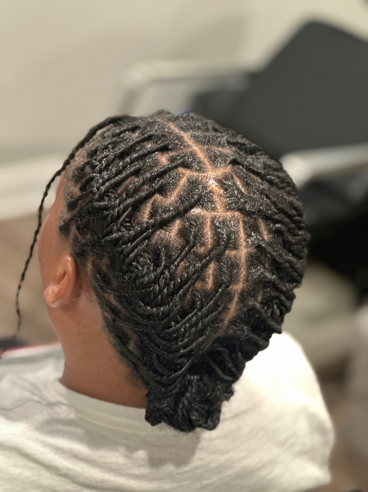 Starter Locs (Two strand Twist)