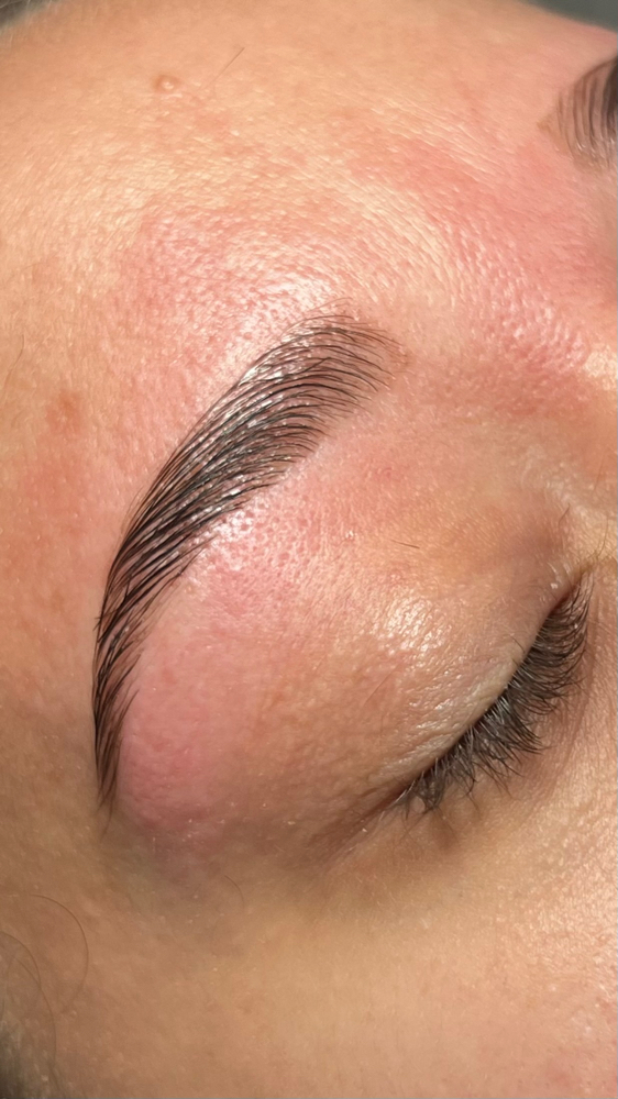 Eyebrow lamination (No Tint ) at Brows by vic in Miami, FL
