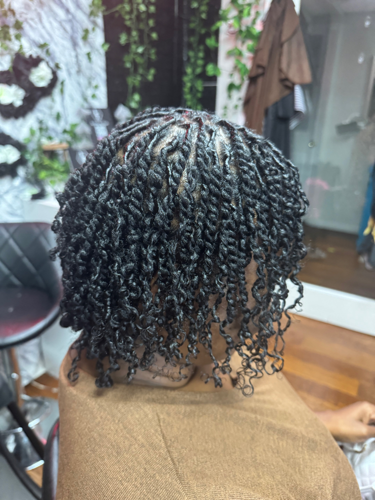 Starter Locs Two Strand