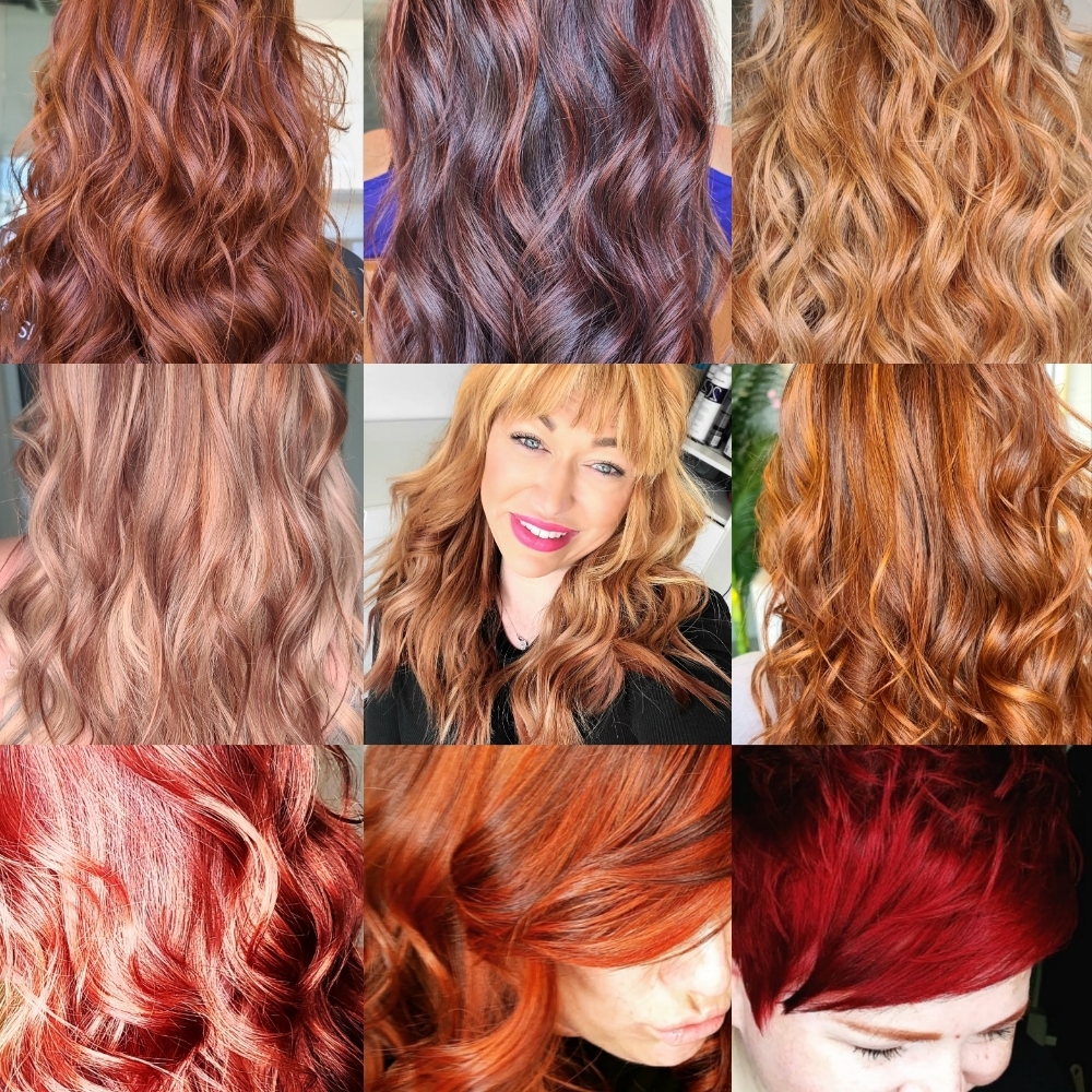 Toner Gloss Or GLAZE at Tailored  Barber Co. II Ogden in Ogden, UT