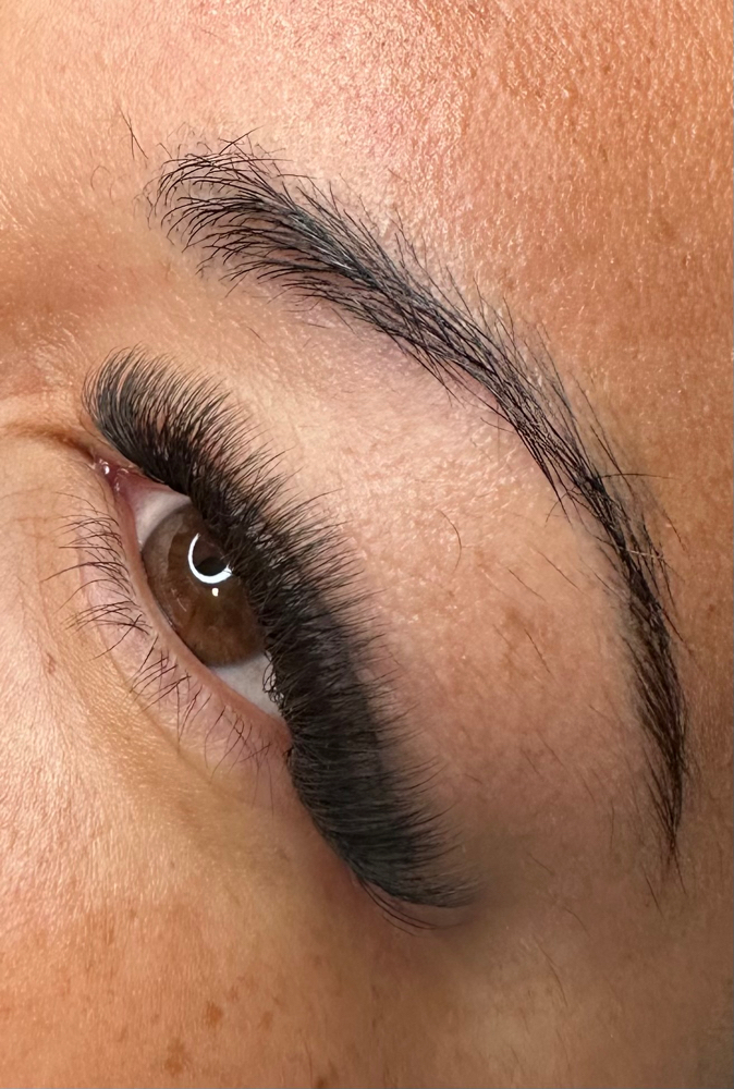 YY Lashes
