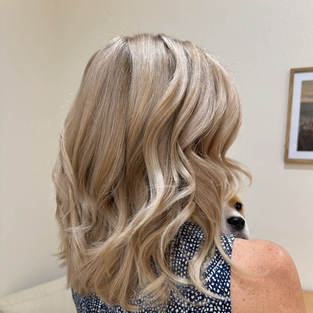 Full Highlight w/ Base Color