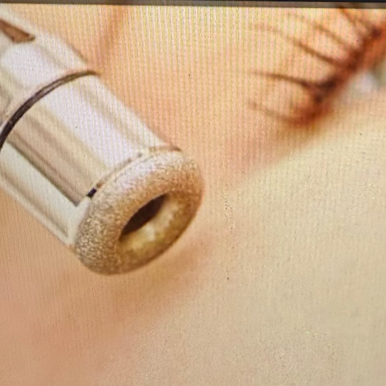 Microdermabrasion Facial at TwineXbeauty in tucson, AZ