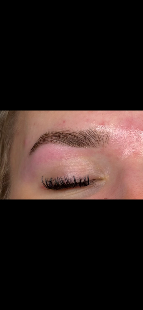 Eyebrow Wax & Tint
