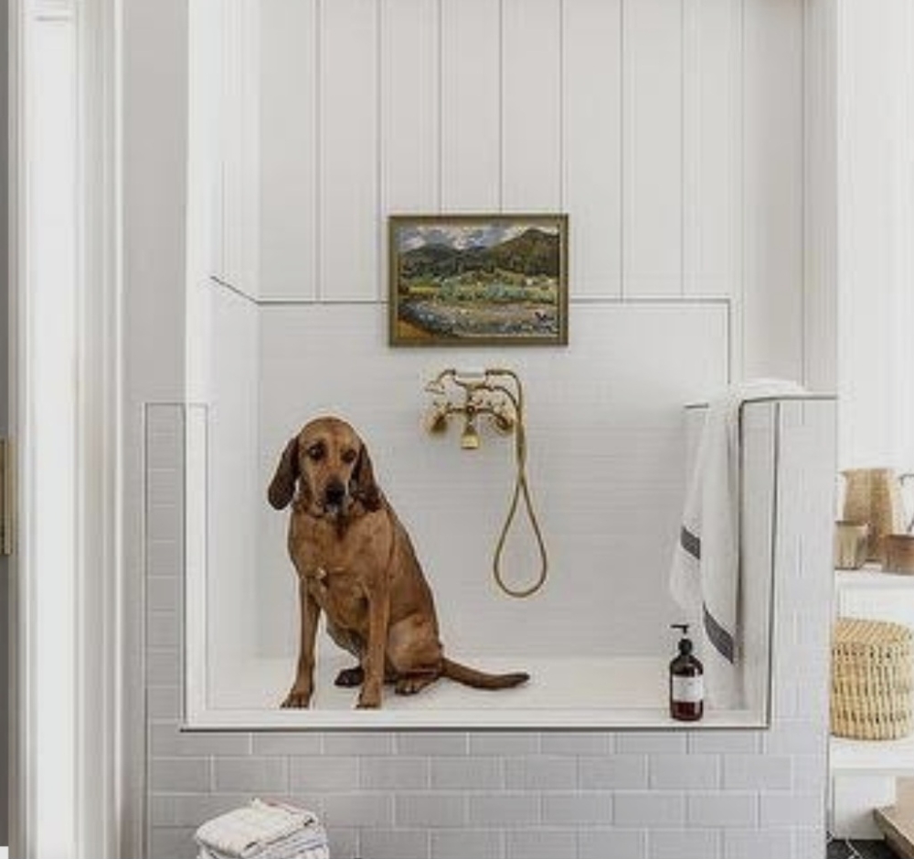 Large Bath (Short Hair)