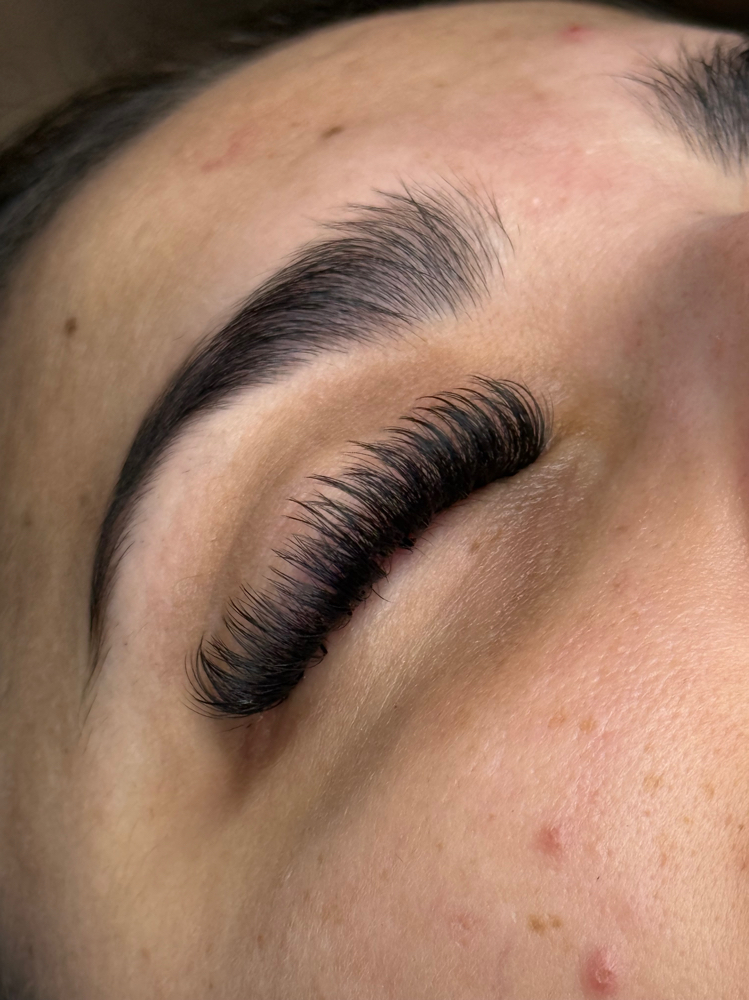 Lash Extensions(Volume) at Lash Muse by Lily in Tampa, FL