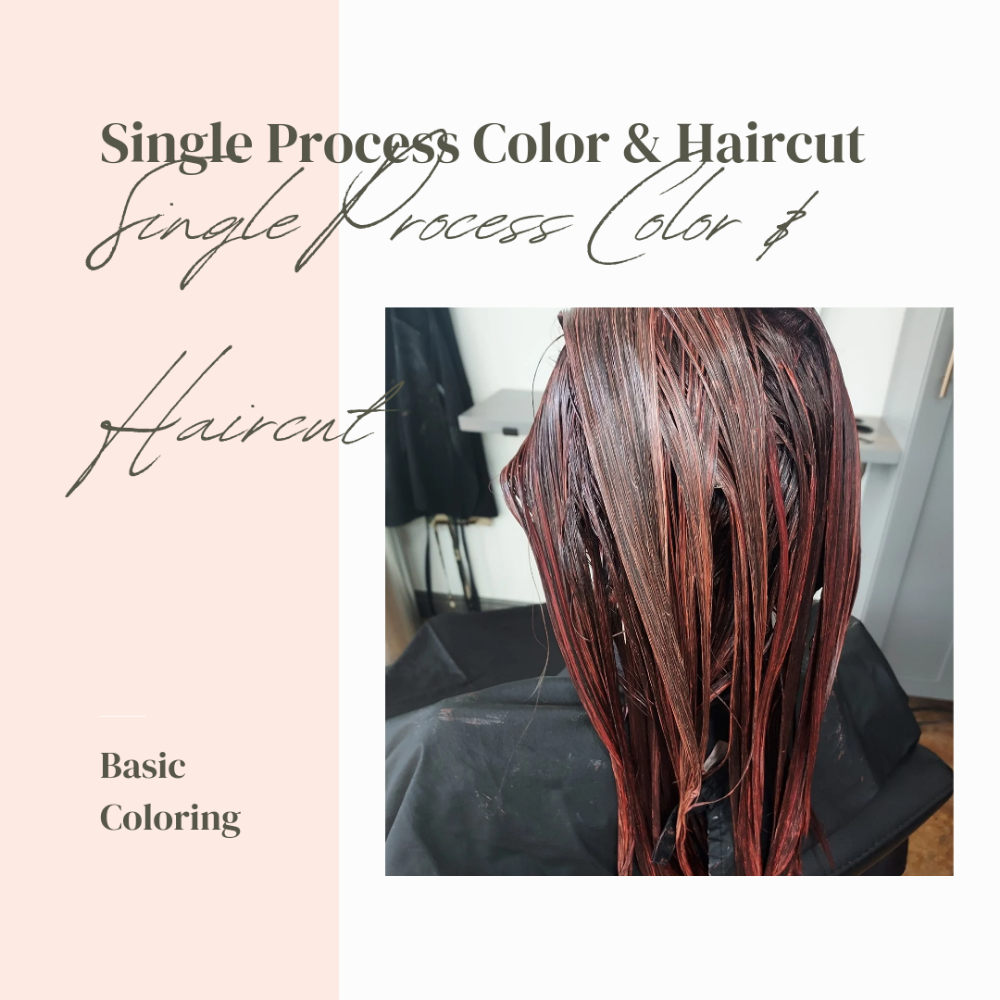 Single Process Color + Haircut