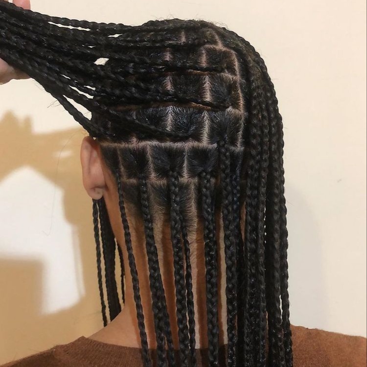 Box Braids w/ Natural Hair at Simply Styled Hair in Lutz, FL