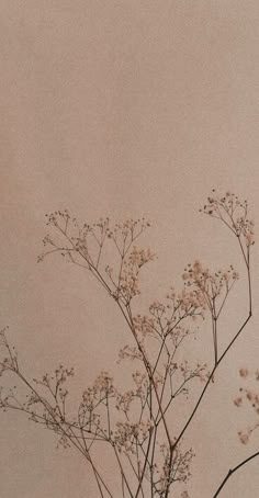 Custom Color (New Clients)