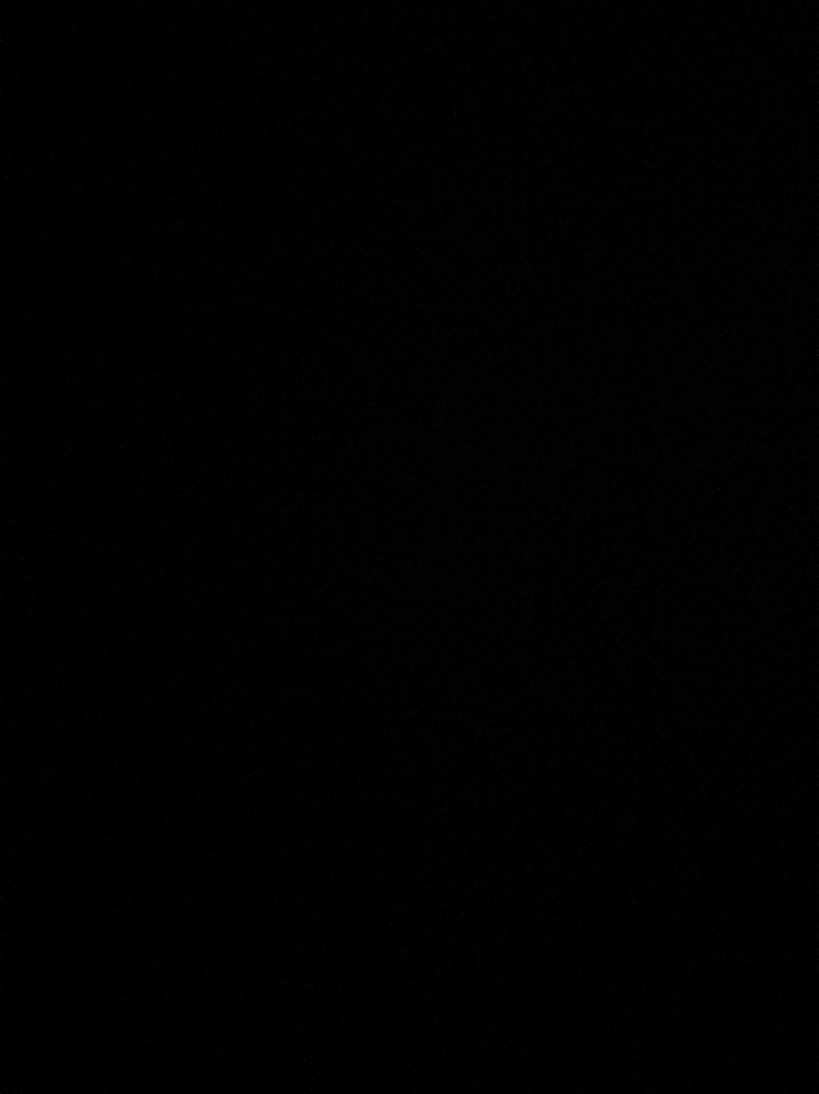 Korean Lash Lift (NO TINT)