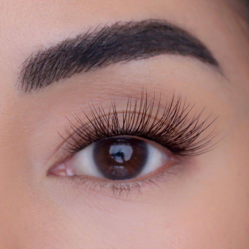 Brow Color