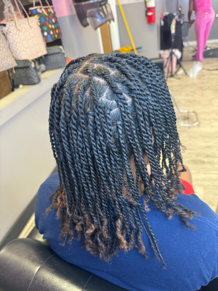 Mini Twist (Small Two Strand Twist)