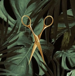 Trim With Color Service