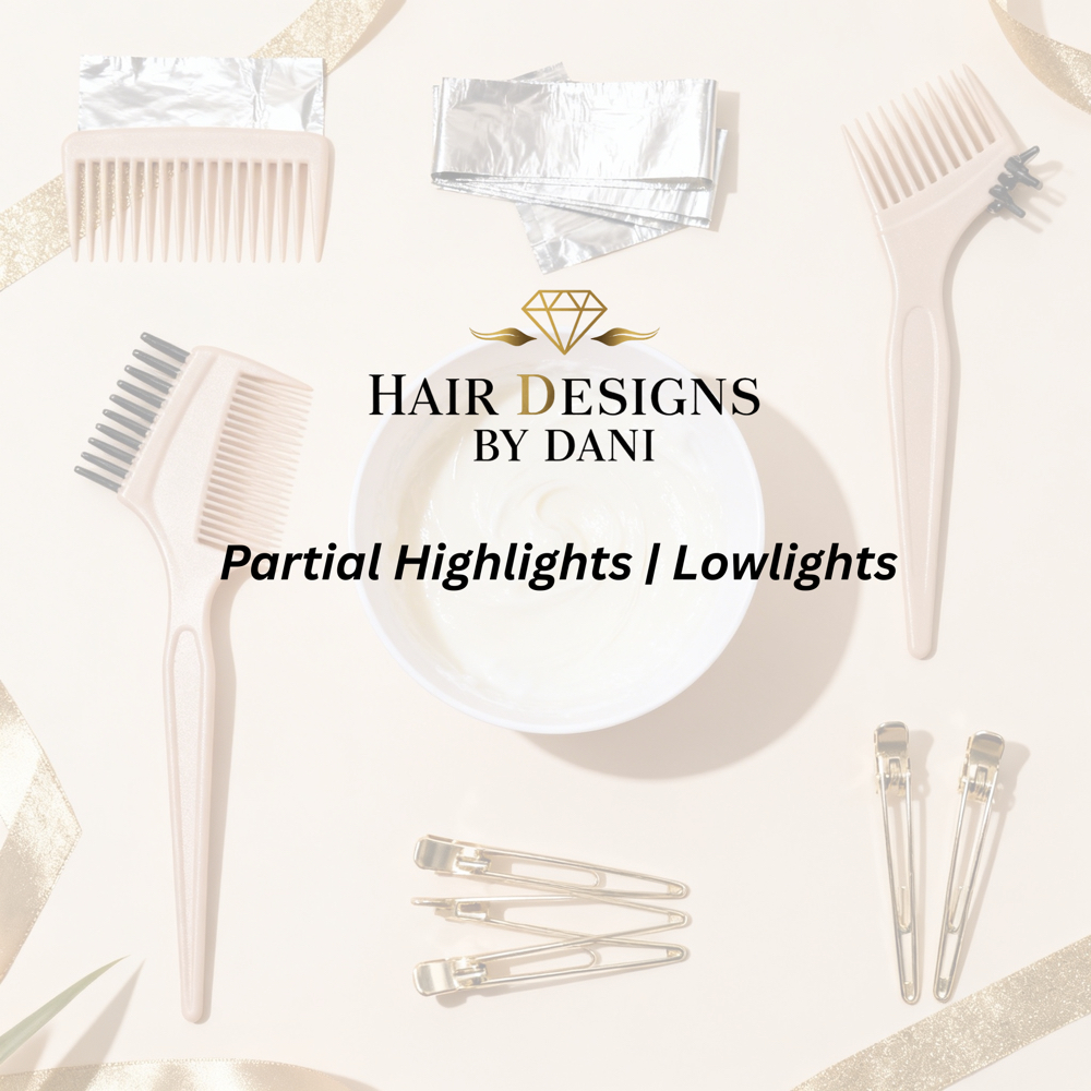 Partial Highlights / Lowlights at Hair Designs By Dani in Plainview, NY