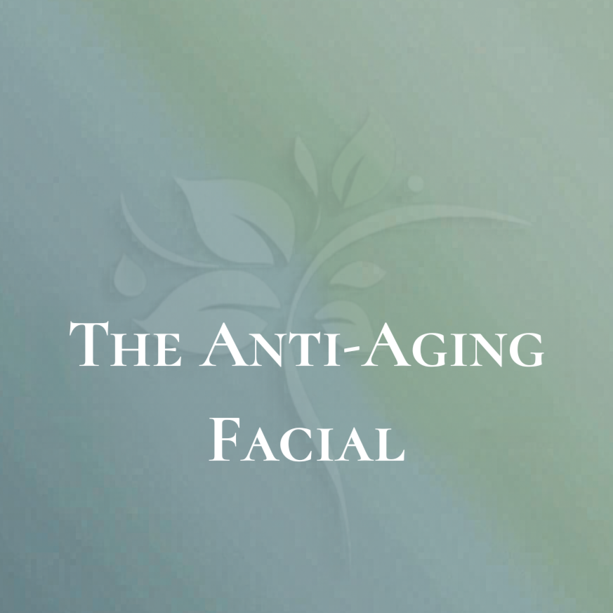 The Anti-Aging Facial at Elysian Esthetics Spa in Loganville, GA