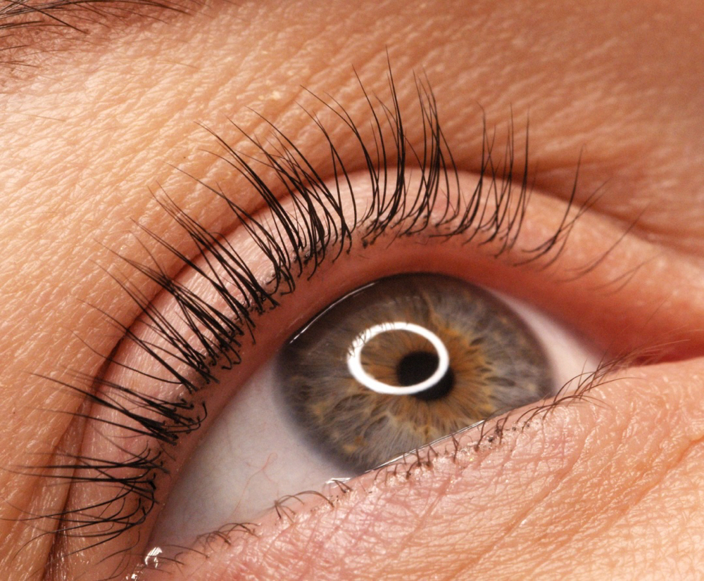 Lash Lift at Seraphina Skin . Energy . Ritual in Bay Shore, NY