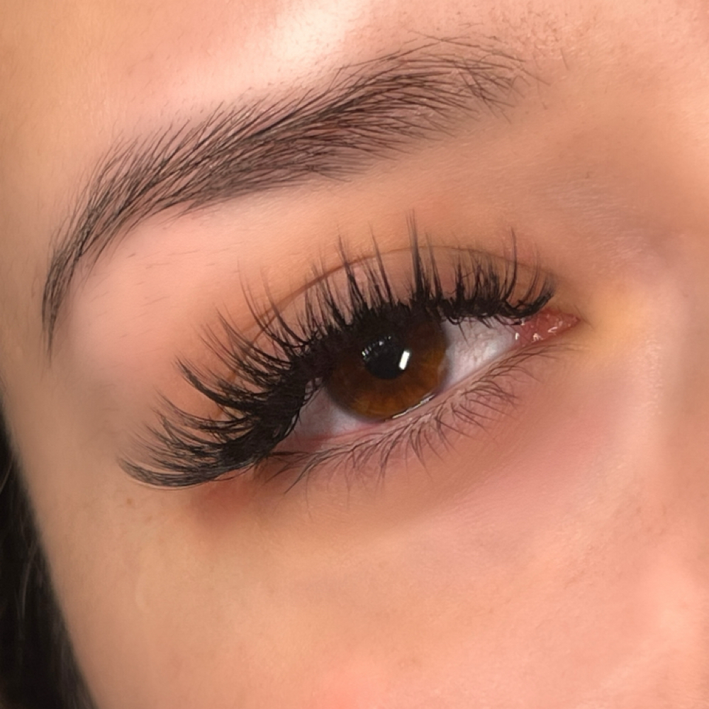 Wet Mascara 3 Week Fill at Euphoric Esthetics in Taylorsville, UT