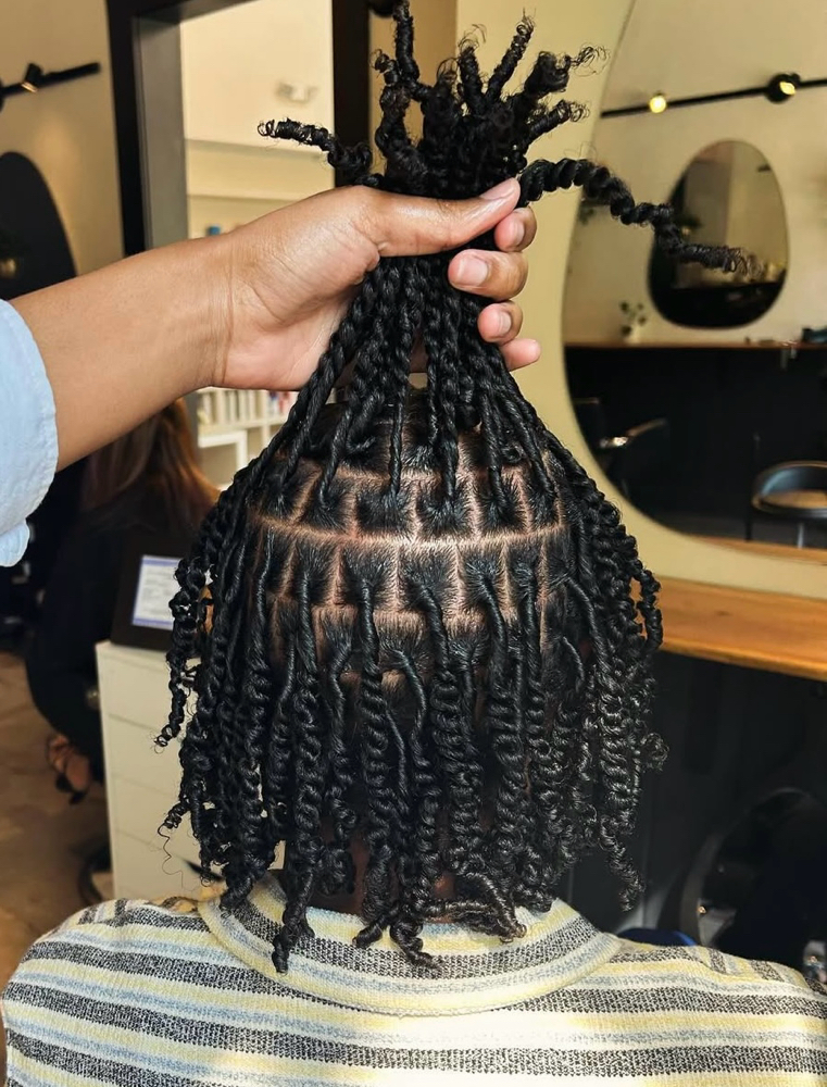 Starter Locs