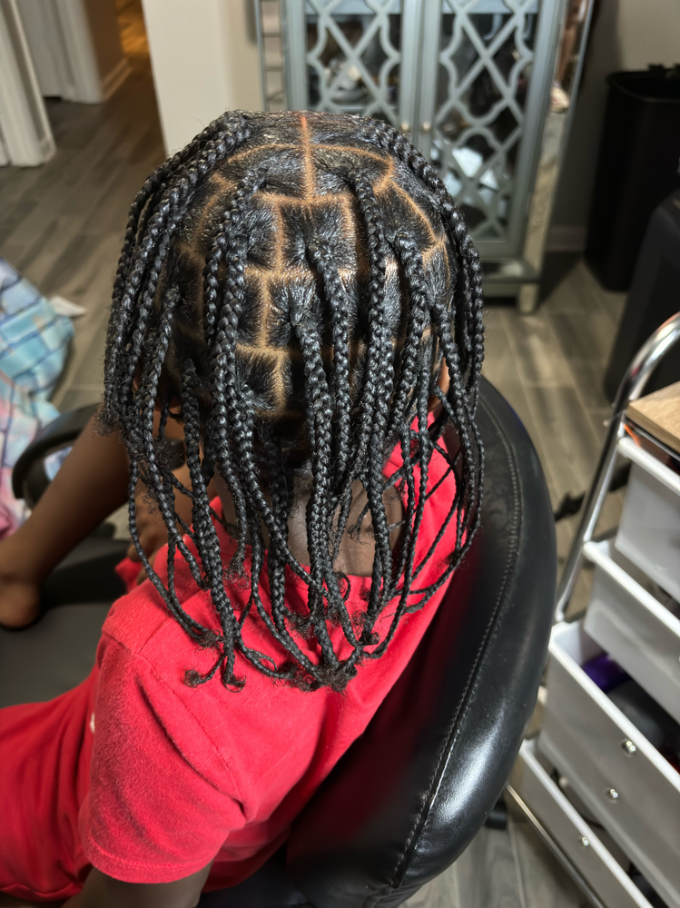 Plats/box Braids ( Natural Hair) at A Step Above Beauty hairtique in Charlotte, NC