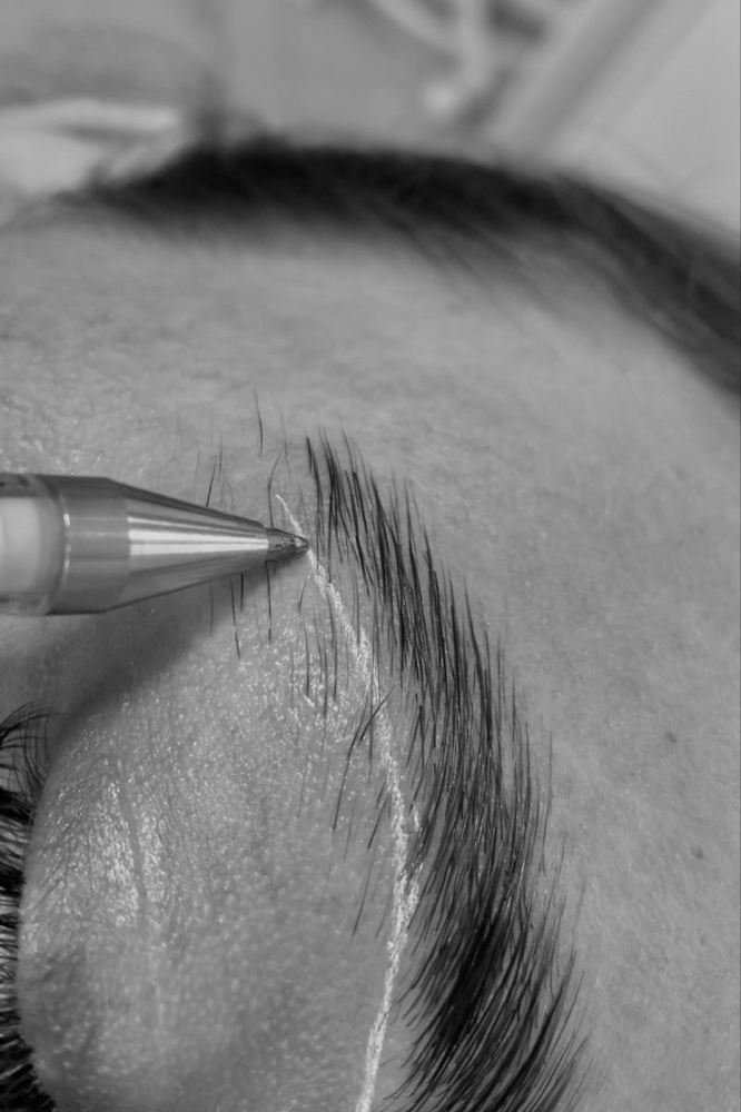 THE BROW TINT - Brow Tint + Shape at IVORY & INK STUDIO in Salmon, ID