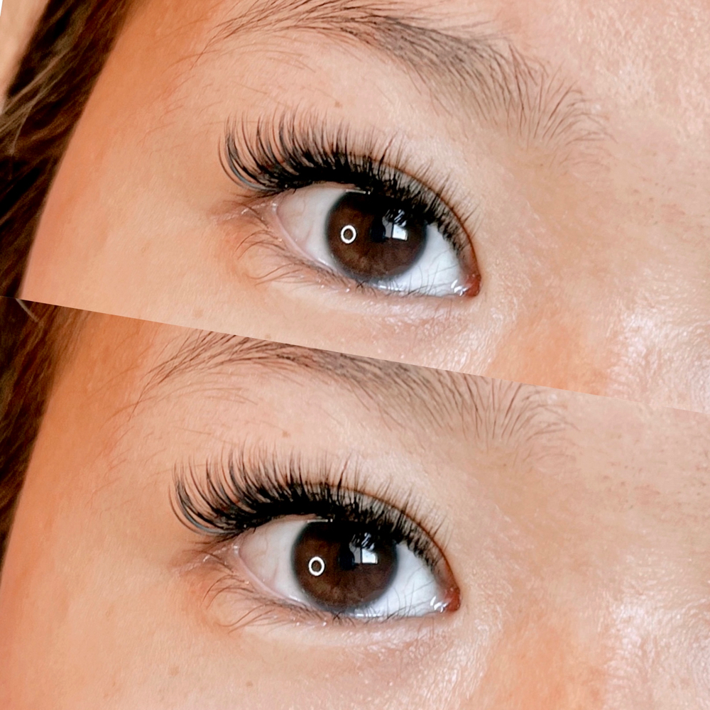 Hybrid Eyelash Extension