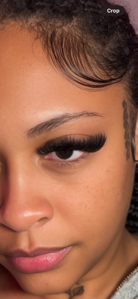 Volume Set at TLashCo. in Houston, TX