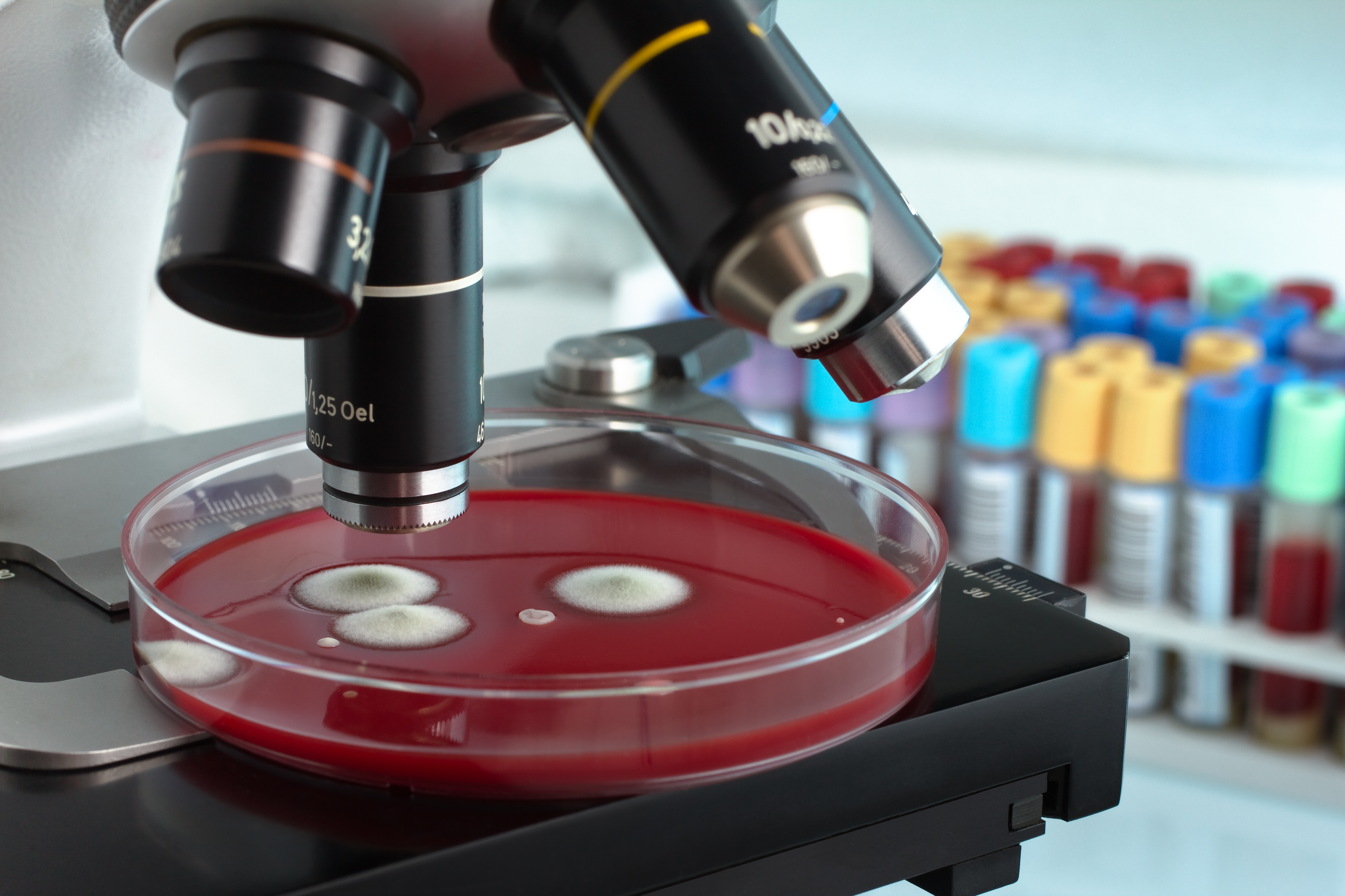 ENVIRONMENTAL POLLUTANT PROFILE