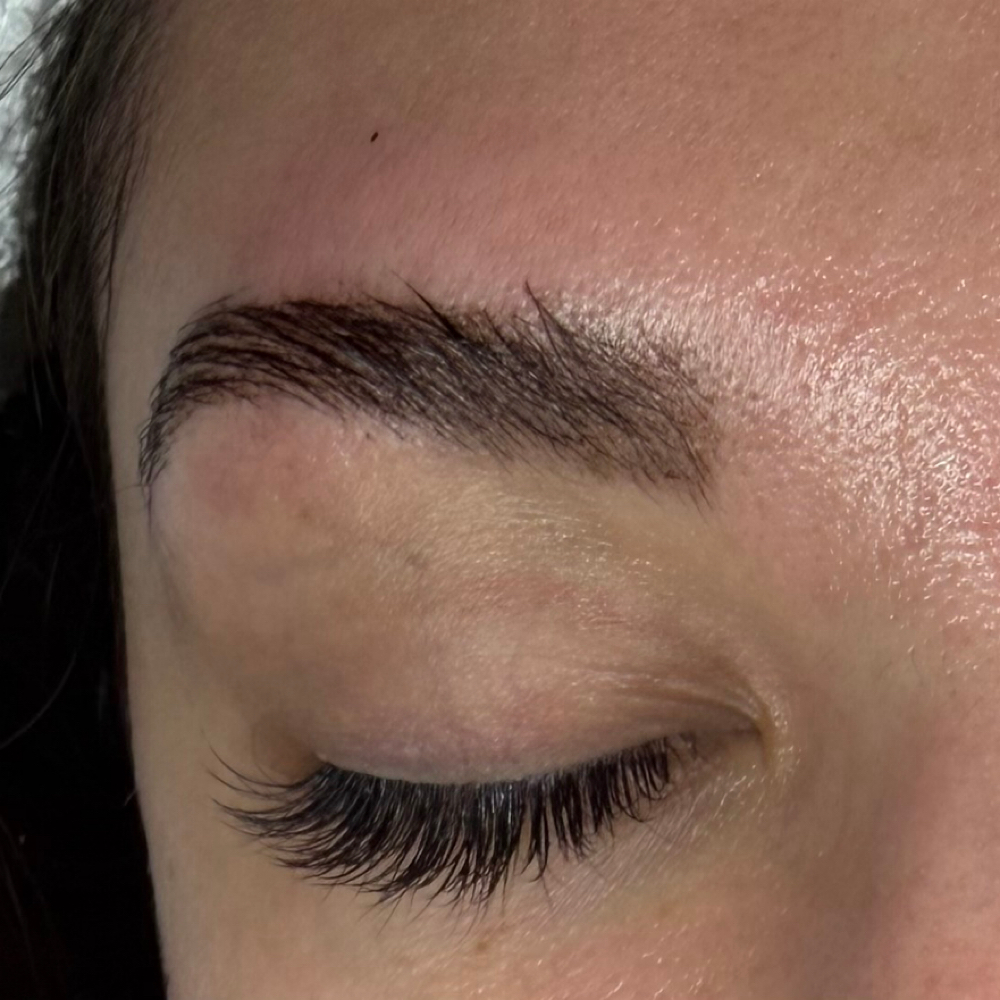 Brow Lamination, Tint & Wax at EverLash Georgetown by Huyen Pham . 1010 Wisconsin Ave NW Suite 330 in Washington, DC