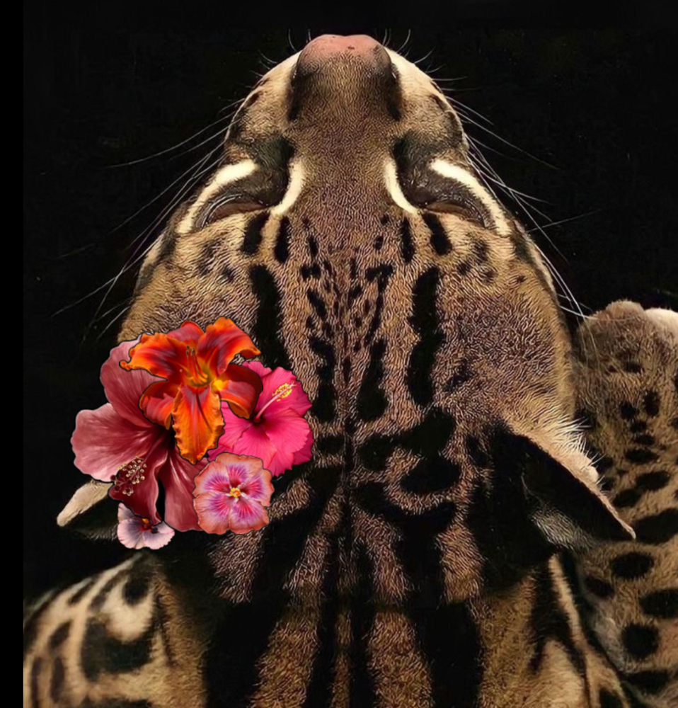 LUCKY SIGNATURE FACIAL