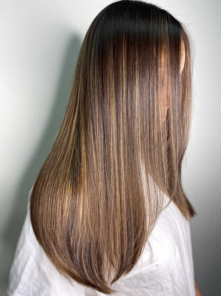 Partial Balayage/Foilayage