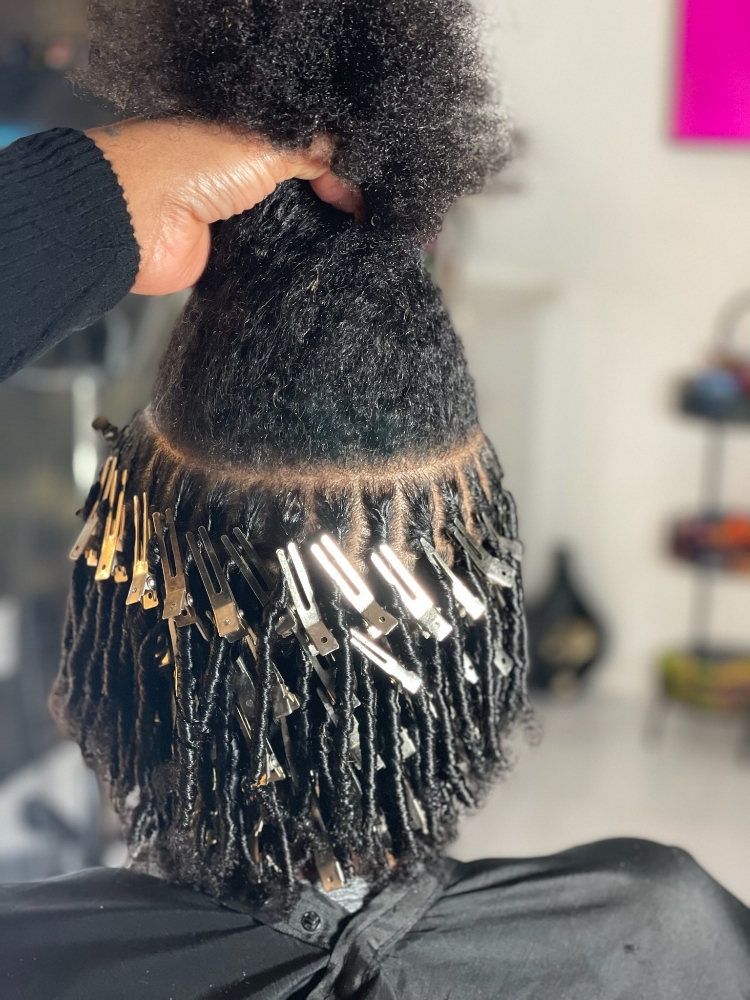 Starter Locs