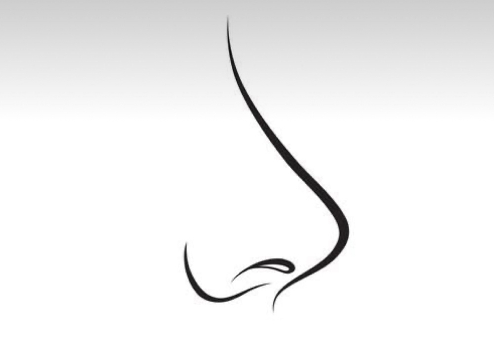 Nose