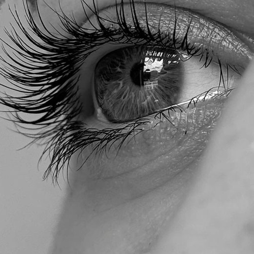 Lash Tinting at Luminous Skin Care & Brow Studio in Sugar Land, TX