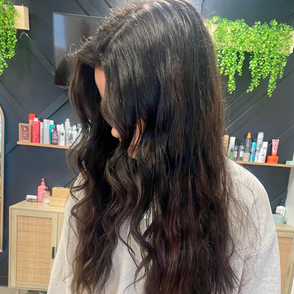 Root Touchup at Lauren Melchior Hair in Lambertville, MI