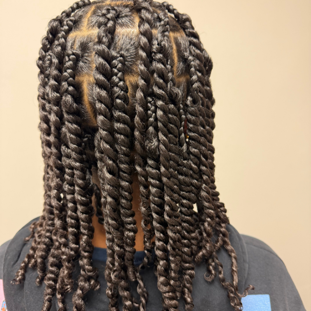 Twists Two-Strand at Crown Queens Zen Hair Studio in Garland, TX