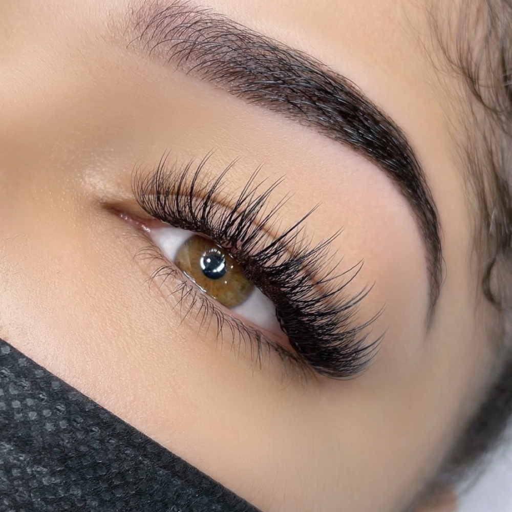 Lash Boost : Light Special occasion at Locs and Lashes in Alcoa, TN