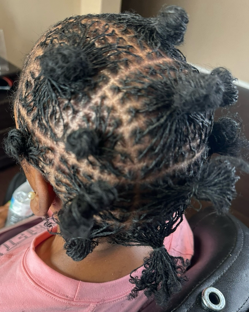 Sisterlocks Establishment