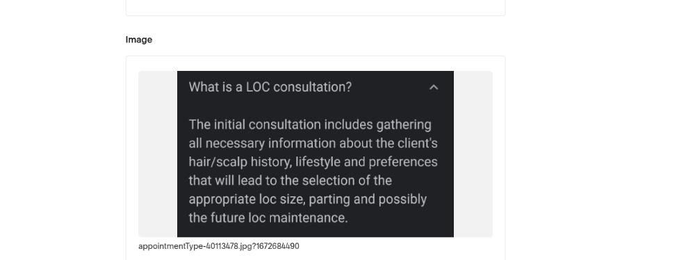 New Customer Consultation at Locs of Love in Chattanooga, TN