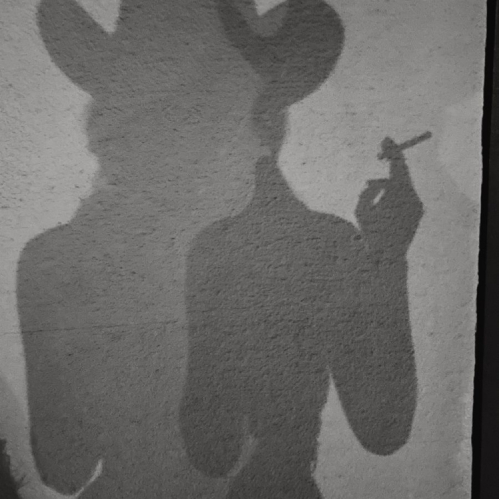 Conditioning Treatment at Salon Idyll in Rochelle, IL