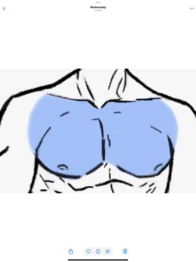 Chest Full