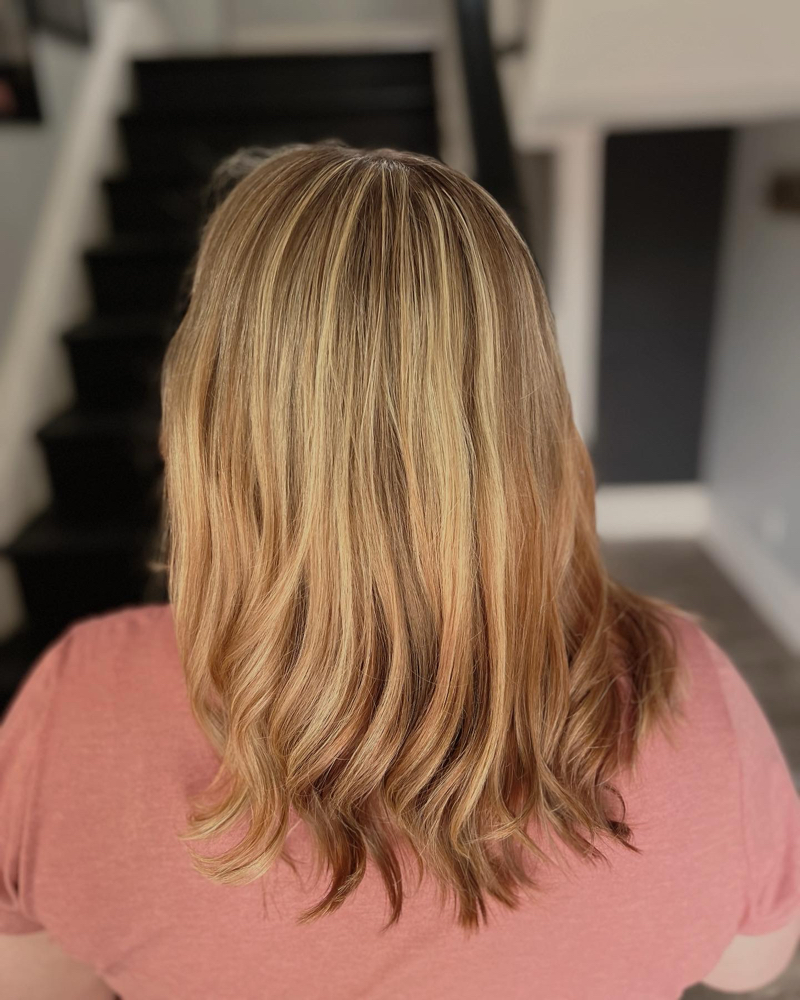 Highlights