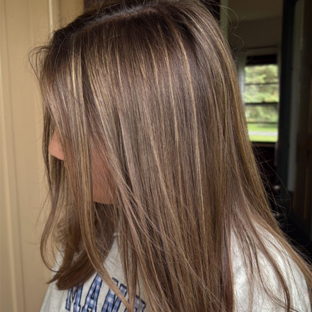 Partial Highlight ✨ at Mane & Taylored Hair in Lititz, PA