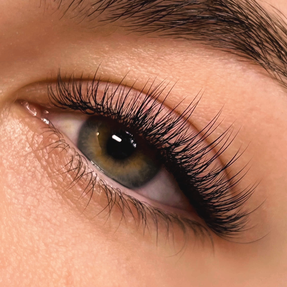 Classic Lash