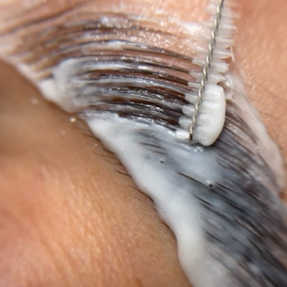 Brow Lamination ✨ at THEWAXDEN in Melbourne, FL