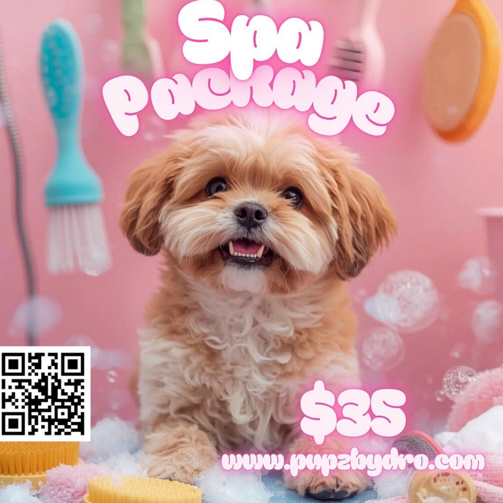 FULL SPA (Bath) SPECIAL at Pupz By Dro - Private Dog Grooming in Houston, TX