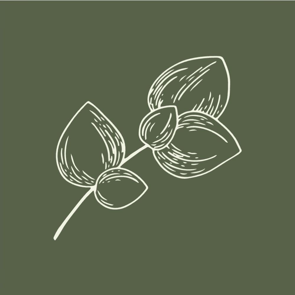 Facial Service Add-Ons at The Skin You're In in Overland Park, KS