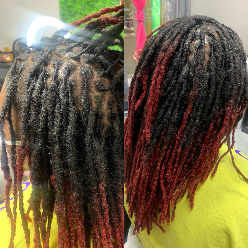 ✨Retwist and Shampoo